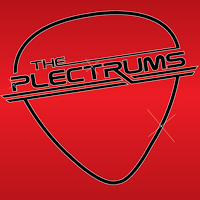 The Plectrums Wedding band 1081179 Image 1
